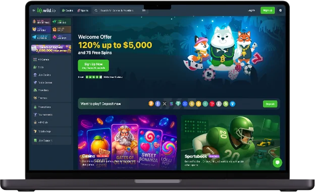 Wild.io casino homepage.